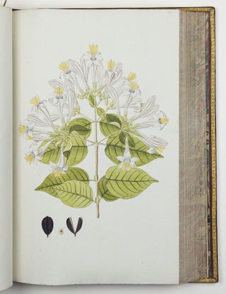 Nicolai Josephi Jacquin Selectarum stirpium americanarum historia in qua ad linnæanum systema determinatæ descriptæque sistuntur plantæ illæ quas in insulis Martinica, Iamaica, Domingo, aliisque et in vicinæ continentis parte, observavit rariores; adjectis iconibus ab autoris archetypa pictis