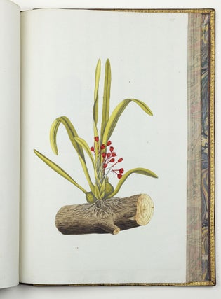 Nicolai Josephi Jacquin Selectarum stirpium americanarum historia in qua ad linnæanum systema determinatæ descriptæque sistuntur plantæ illæ quas in insulis Martinica, Iamaica, Domingo, aliisque et in vicinæ continentis parte, observavit rariores; adjectis iconibus ab autoris archetypa pictis