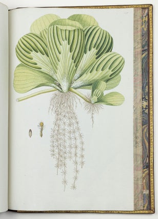 Nicolai Josephi Jacquin Selectarum stirpium americanarum historia in qua ad linnæanum systema determinatæ descriptæque sistuntur plantæ illæ quas in insulis Martinica, Iamaica, Domingo, aliisque et in vicinæ continentis parte, observavit rariores; adjectis iconibus ab autoris archetypa pictis