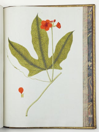 Nicolai Josephi Jacquin Selectarum stirpium americanarum historia in qua ad linn&aelig;anum systema determinat&aelig; descript&aelig;que sistuntur plant&aelig; ill&aelig; quas in insulis Martinica, Iamaica, Domingo, aliisque et in vicin&aelig; continentis parte, observavit rariores; adjectis iconibus ab autoris archetypa pictis
