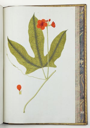 Nicolai Josephi Jacquin Selectarum stirpium americanarum historia in qua ad linnæanum systema determinatæ descriptæque sistuntur plantæ illæ quas in insulis Martinica, Iamaica, Domingo, aliisque et in vicinæ continentis parte, observavit rariores; adjectis iconibus ab autoris archetypa pictis