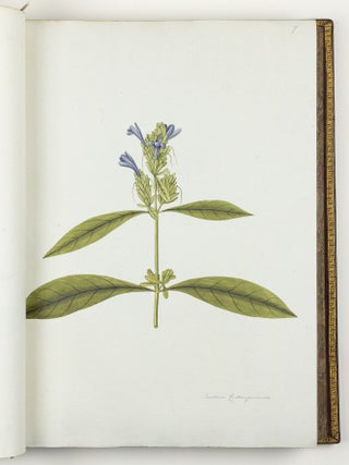 Nicolai Josephi Jacquin Selectarum stirpium americanarum historia in qua ad linn&aelig;anum systema determinat&aelig; descript&aelig;que sistuntur plant&aelig; ill&aelig; quas in insulis Martinica, Iamaica, Domingo, aliisque et in vicin&aelig; continentis parte, observavit rariores; adjectis iconibus ab autoris archetypa pictis