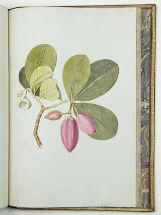 Nicolai Josephi Jacquin Selectarum stirpium americanarum historia in qua ad linn&aelig;anum systema determinat&aelig; descript&aelig;que sistuntur plant&aelig; ill&aelig; quas in insulis Martinica, Iamaica, Domingo, aliisque et in vicin&aelig; continentis parte, observavit rariores; adjectis iconibus ab autoris archetypa pictis