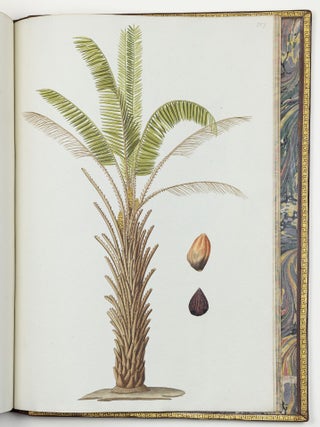 Nicolai Josephi Jacquin Selectarum stirpium americanarum historia in qua ad linn&aelig;anum systema determinat&aelig; descript&aelig;que sistuntur plant&aelig; ill&aelig; quas in insulis Martinica, Iamaica, Domingo, aliisque et in vicin&aelig; continentis parte, observavit rariores; adjectis iconibus ab autoris archetypa pictis