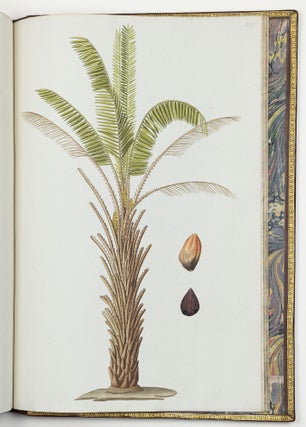 Nicolai Josephi Jacquin Selectarum stirpium americanarum historia in qua ad linnæanum systema determinatæ descriptæque sistuntur plantæ illæ quas in insulis Martinica, Iamaica, Domingo, aliisque et in vicinæ continentis parte, observavit rariores; adjectis iconibus ab autoris archetypa pictis