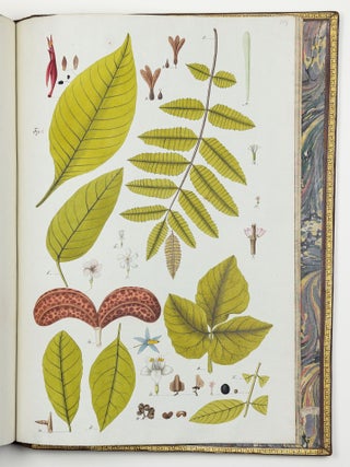 Nicolai Josephi Jacquin Selectarum stirpium americanarum historia in qua ad linn&aelig;anum systema determinat&aelig; descript&aelig;que sistuntur plant&aelig; ill&aelig; quas in insulis Martinica, Iamaica, Domingo, aliisque et in vicin&aelig; continentis parte, observavit rariores; adjectis iconibus ab autoris archetypa pictis