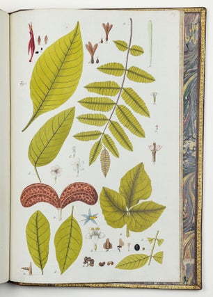 Nicolai Josephi Jacquin Selectarum stirpium americanarum historia in qua ad linnæanum systema determinatæ descriptæque sistuntur plantæ illæ quas in insulis Martinica, Iamaica, Domingo, aliisque et in vicinæ continentis parte, observavit rariores; adjectis iconibus ab autoris archetypa pictis