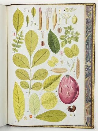 Nicolai Josephi Jacquin Selectarum stirpium americanarum historia in qua ad linn&aelig;anum systema determinat&aelig; descript&aelig;que sistuntur plant&aelig; ill&aelig; quas in insulis Martinica, Iamaica, Domingo, aliisque et in vicin&aelig; continentis parte, observavit rariores; adjectis iconibus ab autoris archetypa pictis