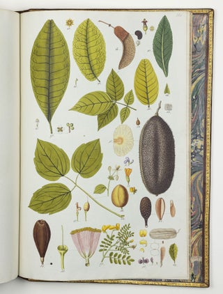 Nicolai Josephi Jacquin Selectarum stirpium americanarum historia in qua ad linnæanum systema determinatæ descriptæque sistuntur plantæ illæ quas in insulis Martinica, Iamaica, Domingo, aliisque et in vicinæ continentis parte, observavit rariores; adjectis iconibus ab autoris archetypa pictis