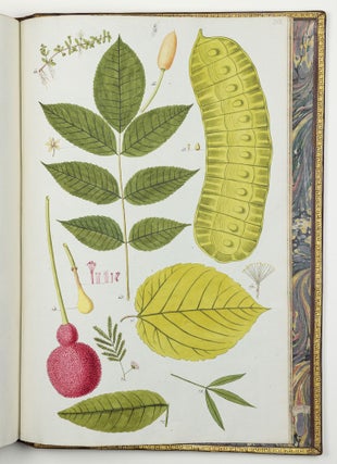 Nicolai Josephi Jacquin Selectarum stirpium americanarum historia in qua ad linnæanum systema determinatæ descriptæque sistuntur plantæ illæ quas in insulis Martinica, Iamaica, Domingo, aliisque et in vicinæ continentis parte, observavit rariores; adjectis iconibus ab autoris archetypa pictis
