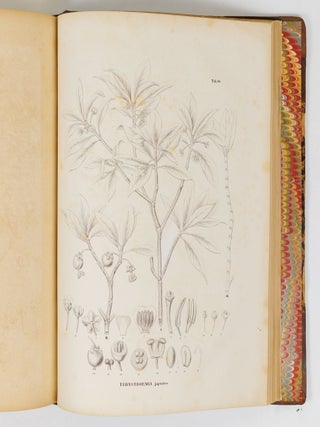 Flora japonica sive plantae, quas in imperio japonico collegit, descripsit, ex parte in ipsis locis pingendas curavit Dr. Ph. Fr. De Siebold, ordinis Regii Leonis belgici, coronae civilis bavaricae, imperialis russici S. Wladimiri Quartae classis eques, plurium academiarum societatumque doctarum sodalis. Regis auspiciis edita. Sectio prima continens plantas ornatui vel usui inservientes. Digessit Dr. J.G. Zuccarini, botanices oecon. et saltuar. in Univ. Maximil. Ludov. professor p. o., Academiae Reg. Monac. aliarumque societ. doct. sodalis. Centuria prima