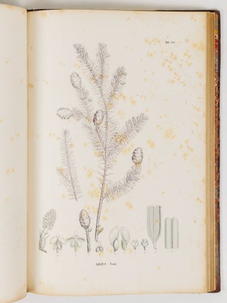 Flora japonica sive plantae, quas in imperio japonico collegit, descripsit, ex parte in ipsis locis pingendas curavit Dr. Ph. Fr. De Siebold, ordinis Regii Leonis belgici, coronae civilis bavaricae, imperialis russici S. Wladimiri Quartae classis eques, plurium academiarum societatumque doctarum sodalis. Regis auspiciis edita. Sectio prima continens plantas ornatui vel usui inservientes. Digessit Dr. J.G. Zuccarini, botanices oecon. et saltuar. in Univ. Maximil. Ludov. professor p. o., Academiae Reg. Monac. aliarumque societ. doct. sodalis. Centuria prima