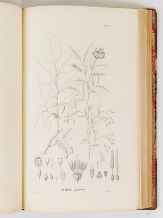 Flora japonica sive plantae, quas in imperio japonico collegit, descripsit, ex parte in ipsis locis pingendas curavit Dr. Ph. Fr. De Siebold, ordinis Regii Leonis belgici, coronae civilis bavaricae, imperialis russici S. Wladimiri Quartae classis eques, plurium academiarum societatumque doctarum sodalis. Regis auspiciis edita. Sectio prima continens plantas ornatui vel usui inservientes. Digessit Dr. J.G. Zuccarini, botanices oecon. et saltuar. in Univ. Maximil. Ludov. professor p. o., Academiae Reg. Monac. aliarumque societ. doct. sodalis. Centuria prima