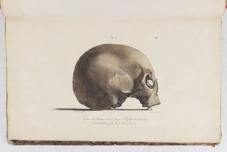 Voyage pittoresque autour du monde, avec des portraits de sauvages d'Amérique, d'Asie, d'Afrique, et des iles du Grand Ocean; des paysages, des vues maritimes, et plusieurs objets d'histoire naturelle; Accompagné de Descriptions par M. le Baron Cuvier, et M. A. de Chamisso, et d'Observations sur les crânes humains par M. le Docteur Gall. Par M. Louis Choris, Peintre BOUND WITH Vues et paysages des Régions Équinoxiales, recueillis dans un voyage autour du monde, par Louis Choris avec une introduction et un texte explicatif