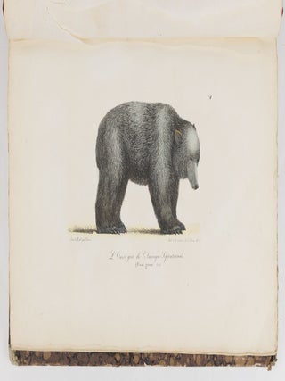 Voyage pittoresque autour du monde, avec des portraits de sauvages d'Am&eacute;rique, d'Asie, d'Afrique, et des iles du Grand Ocean; des paysages, des vues maritimes, et plusieurs objets d'histoire naturelle; Accompagn&eacute; de Descriptions par M. le Baron Cuvier, et M. A. de Chamisso, et d'Observations sur les cr&acirc;nes humains par M. le Docteur Gall. Par M. Louis Choris, Peintre BOUND WITH Vues et paysages des R&eacute;gions &Eacute;quinoxiales, recueillis dans un voyage autour du monde, par Louis Choris avec une introduction et un texte explicatif