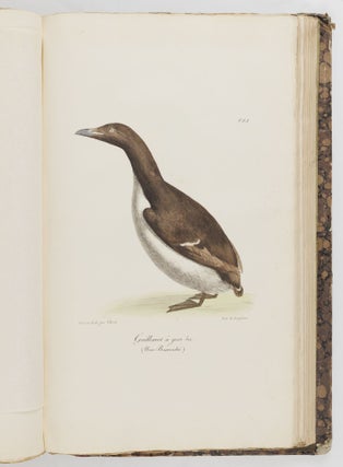 Voyage pittoresque autour du monde, avec des portraits de sauvages d'Amérique, d'Asie, d'Afrique, et des iles du Grand Ocean; des paysages, des vues maritimes, et plusieurs objets d'histoire naturelle; Accompagné de Descriptions par M. le Baron Cuvier, et M. A. de Chamisso, et d'Observations sur les crânes humains par M. le Docteur Gall. Par M. Louis Choris, Peintre BOUND WITH Vues et paysages des Régions Équinoxiales, recueillis dans un voyage autour du monde, par Louis Choris avec une introduction et un texte explicatif