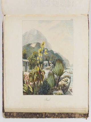 Voyage pittoresque autour du monde, avec des portraits de sauvages d'Amérique, d'Asie, d'Afrique, et des iles du Grand Ocean; des paysages, des vues maritimes, et plusieurs objets d'histoire naturelle; Accompagné de Descriptions par M. le Baron Cuvier, et M. A. de Chamisso, et d'Observations sur les crânes humains par M. le Docteur Gall. Par M. Louis Choris, Peintre BOUND WITH Vues et paysages des Régions Équinoxiales, recueillis dans un voyage autour du monde, par Louis Choris avec une introduction et un texte explicatif