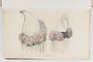Voyage pittoresque autour du monde, avec des portraits de sauvages d'Amérique, d'Asie, d'Afrique, et des iles du Grand Ocean; des paysages, des vues maritimes, et plusieurs objets d'histoire naturelle; Accompagné de Descriptions par M. le Baron Cuvier, et M. A. de Chamisso, et d'Observations sur les crânes humains par M. le Docteur Gall. Par M. Louis Choris, Peintre BOUND WITH Vues et paysages des Régions Équinoxiales, recueillis dans un voyage autour du monde, par Louis Choris avec une introduction et un texte explicatif