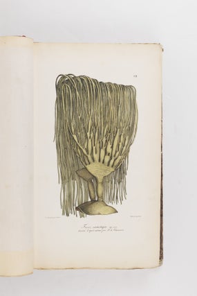 Voyage pittoresque autour du monde, avec des portraits de sauvages d'Amérique, d'Asie, d'Afrique, et des iles du Grand Ocean; des paysages, des vues maritimes, et plusieurs objets d'histoire naturelle; Accompagné de Descriptions par M. le Baron Cuvier, et M. A. de Chamisso, et d'Observations sur les crânes humains par M. le Docteur Gall. Par M. Louis Choris, Peintre BOUND WITH Vues et paysages des Régions Équinoxiales, recueillis dans un voyage autour du monde, par Louis Choris avec une introduction et un texte explicatif