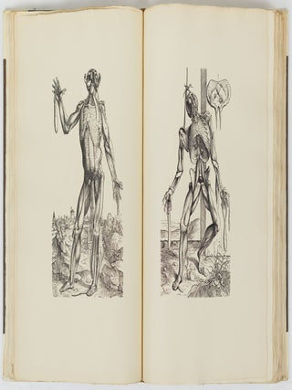 Andreae Vesalii bruxellensis icones anatomicae