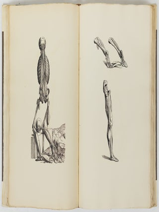 Andreae Vesalii bruxellensis icones anatomicae