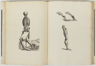 Andreae Vesalii bruxellensis icones anatomicae