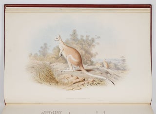 A monograph of the macropodidæ or family of kangaroos. By John Gould, F.L.S., F.Z.S., &c.