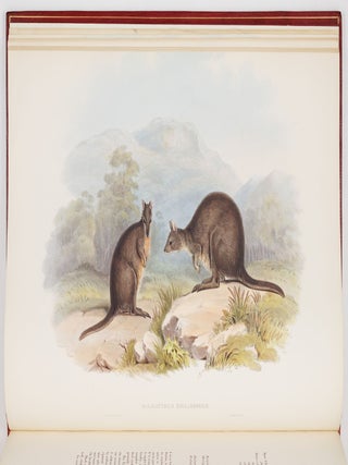A monograph of the macropodid&aelig; or family of kangaroos. By John Gould, F.L.S., F.Z.S., &c.