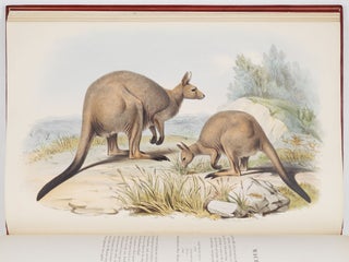 A monograph of the macropodidæ or family of kangaroos. By John Gould, F.L.S., F.Z.S., &c.