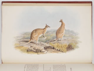 A monograph of the macropodidæ or family of kangaroos. By John Gould, F.L.S., F.Z.S., &c.