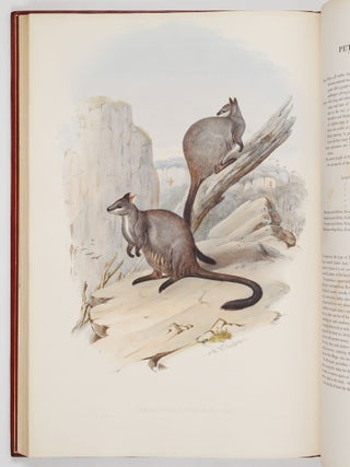 A monograph of the macropodid&aelig; or family of kangaroos. By John Gould, F.L.S., F.Z.S., &c.