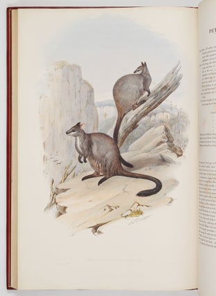 A monograph of the macropodidæ or family of kangaroos. By John Gould, F.L.S., F.Z.S., &c.