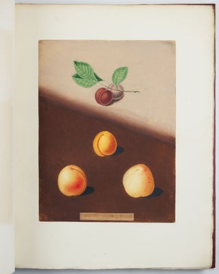 Pomona britannica; or, a collection of the most esteemed fruits at present cultivated in this country; together with the blossoms and leaves of such as are necessary to distinguish the various sorts from each other. Selected principally from the royal gardens at Hampton Court, and the remainder from the most celebrated gardens round London. Accurately drawn and coloured from Nature, with full descriptions of their various qualities, seasons, &c.