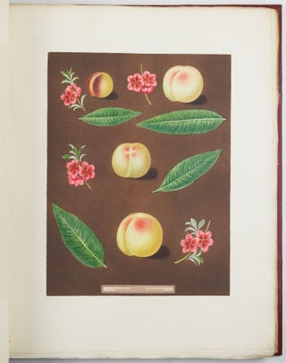 Pomona britannica; or, a collection of the most esteemed fruits at present cultivated in this country; together with the blossoms and leaves of such as are necessary to distinguish the various sorts from each other. Selected principally from the royal gardens at Hampton Court, and the remainder from the most celebrated gardens round London. Accurately drawn and coloured from Nature, with full descriptions of their various qualities, seasons, &c.
