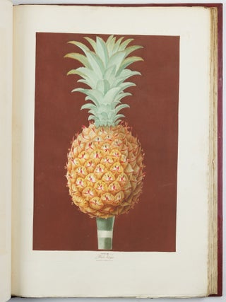 Pomona britannica; or, a collection of the most esteemed fruits at present cultivated in this country; together with the blossoms and leaves of such as are necessary to distinguish the various sorts from each other. Selected principally from the royal gardens at Hampton Court, and the remainder from the most celebrated gardens round London. Accurately drawn and coloured from Nature, with full descriptions of their various qualities, seasons, &c.