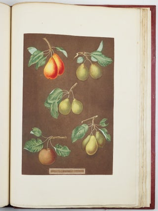 Pomona britannica; or, a collection of the most esteemed fruits at present cultivated in this country; together with the blossoms and leaves of such as are necessary to distinguish the various sorts from each other. Selected principally from the royal gardens at Hampton Court, and the remainder from the most celebrated gardens round London. Accurately drawn and coloured from Nature, with full descriptions of their various qualities, seasons, &c.