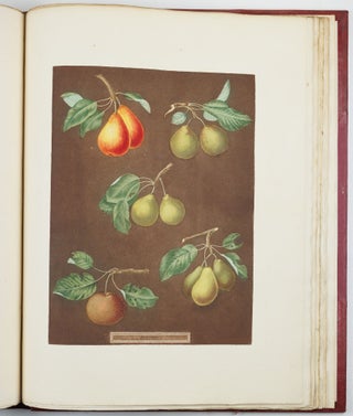 Pomona britannica; or, a collection of the most esteemed fruits at present cultivated in this country; together with the blossoms and leaves of such as are necessary to distinguish the various sorts from each other. Selected principally from the royal gardens at Hampton Court, and the remainder from the most celebrated gardens round London. Accurately drawn and coloured from Nature, with full descriptions of their various qualities, seasons, &c.