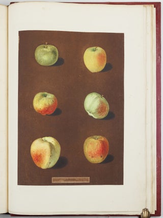 Pomona britannica; or, a collection of the most esteemed fruits at present cultivated in this country; together with the blossoms and leaves of such as are necessary to distinguish the various sorts from each other. Selected principally from the royal gardens at Hampton Court, and the remainder from the most celebrated gardens round London. Accurately drawn and coloured from Nature, with full descriptions of their various qualities, seasons, &c.