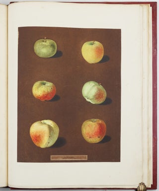 Pomona britannica; or, a collection of the most esteemed fruits at present cultivated in this country; together with the blossoms and leaves of such as are necessary to distinguish the various sorts from each other. Selected principally from the royal gardens at Hampton Court, and the remainder from the most celebrated gardens round London. Accurately drawn and coloured from Nature, with full descriptions of their various qualities, seasons, &c.