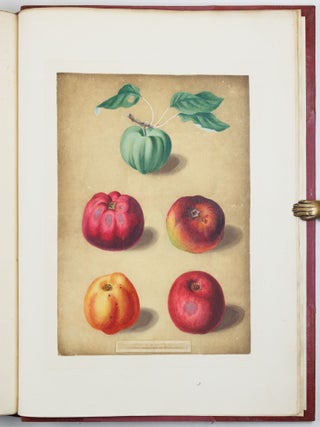 Pomona britannica; or, a collection of the most esteemed fruits at present cultivated in this country; together with the blossoms and leaves of such as are necessary to distinguish the various sorts from each other. Selected principally from the royal gardens at Hampton Court, and the remainder from the most celebrated gardens round London. Accurately drawn and coloured from Nature, with full descriptions of their various qualities, seasons, &c.
