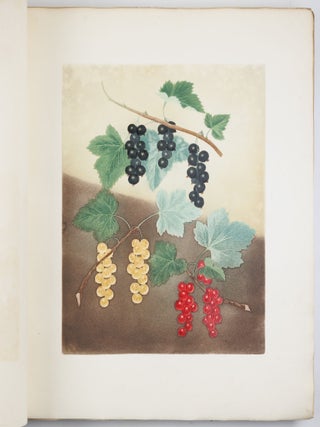 Pomona britannica; or, a collection of the most esteemed fruits at present cultivated in this country; together with the blossoms and leaves of such as are necessary to distinguish the various sorts from each other. Selected principally from the royal gardens at Hampton Court, and the remainder from the most celebrated gardens round London. Accurately drawn and coloured from Nature, with full descriptions of their various qualities, seasons, &c.
