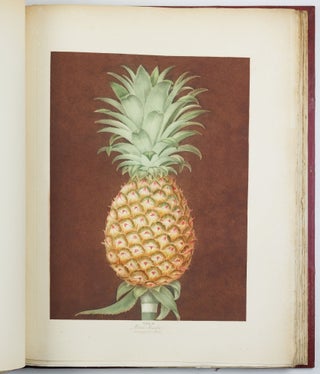 Pomona britannica; or, a collection of the most esteemed fruits at present cultivated in this country; together with the blossoms and leaves of such as are necessary to distinguish the various sorts from each other. Selected principally from the royal gardens at Hampton Court, and the remainder from the most celebrated gardens round London. Accurately drawn and coloured from Nature, with full descriptions of their various qualities, seasons, &c.