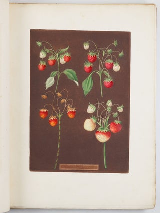Pomona britannica; or, a collection of the most esteemed fruits at present cultivated in this country; together with the blossoms and leaves of such as are necessary to distinguish the various sorts from each other. Selected principally from the royal gardens at Hampton Court, and the remainder from the most celebrated gardens round London. Accurately drawn and coloured from Nature, with full descriptions of their various qualities, seasons, &c.