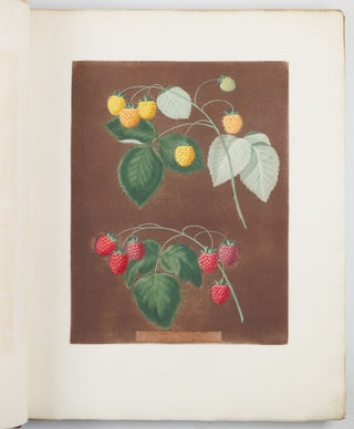 Pomona britannica; or, a collection of the most esteemed fruits at present cultivated in this country; together with the blossoms and leaves of such as are necessary to distinguish the various sorts from each other. Selected principally from the royal gardens at Hampton Court, and the remainder from the most celebrated gardens round London. Accurately drawn and coloured from Nature, with full descriptions of their various qualities, seasons, &c.