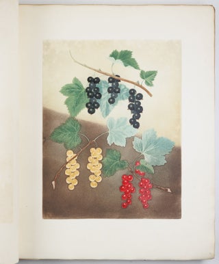 Pomona britannica; or, a collection of the most esteemed fruits at present cultivated in this country; together with the blossoms and leaves of such as are necessary to distinguish the various sorts from each other. Selected principally from the royal gardens at Hampton Court, and the remainder from the most celebrated gardens round London. Accurately drawn and coloured from Nature, with full descriptions of their various qualities, seasons, &c.