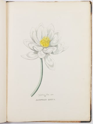 Illustrations of the lotus of antiquity. By R. Duppa, LL. B.