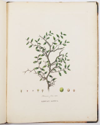 Illustrations of the lotus of antiquity. By R. Duppa, LL. B.