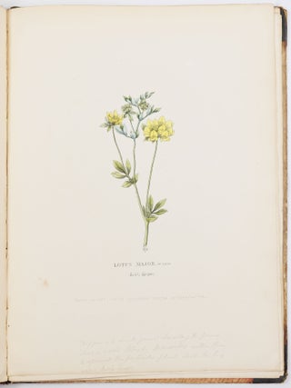 Illustrations of the lotus of antiquity. By R. Duppa, LL. B.