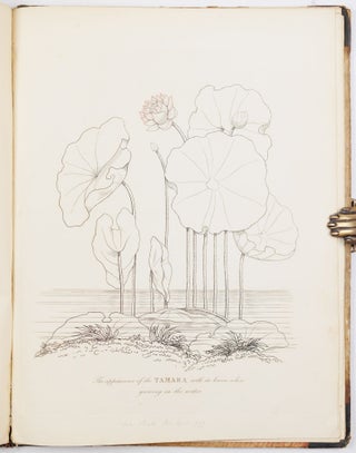 Illustrations of the lotus of antiquity. By R. Duppa, LL. B.