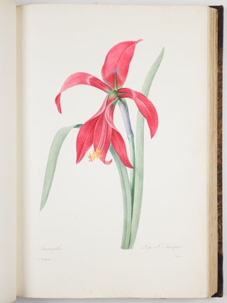 Choix des plus belles fleurs prises dans diff&eacute;rentes familles du r&egrave;gne v&eacute;g&eacute;tal et de quelques branches des plus beaux fruits group&eacute;es quelquefois, et souvent anim&eacute;es par des insectes et des papillons grav&eacute;es, imprim&eacute;es en couleur et retouch&eacute;es au pinceau avec un soin qui doit r&eacute;pondre de leur perfection d&eacute;di&eacute; a LL. AA. RR. les Princesses Louise et Marie d&rsquo;Orl&eacute;ans par P. J. Redout&eacute; Chevalier de la L&eacute;gion d&rsquo;Honneur. . .